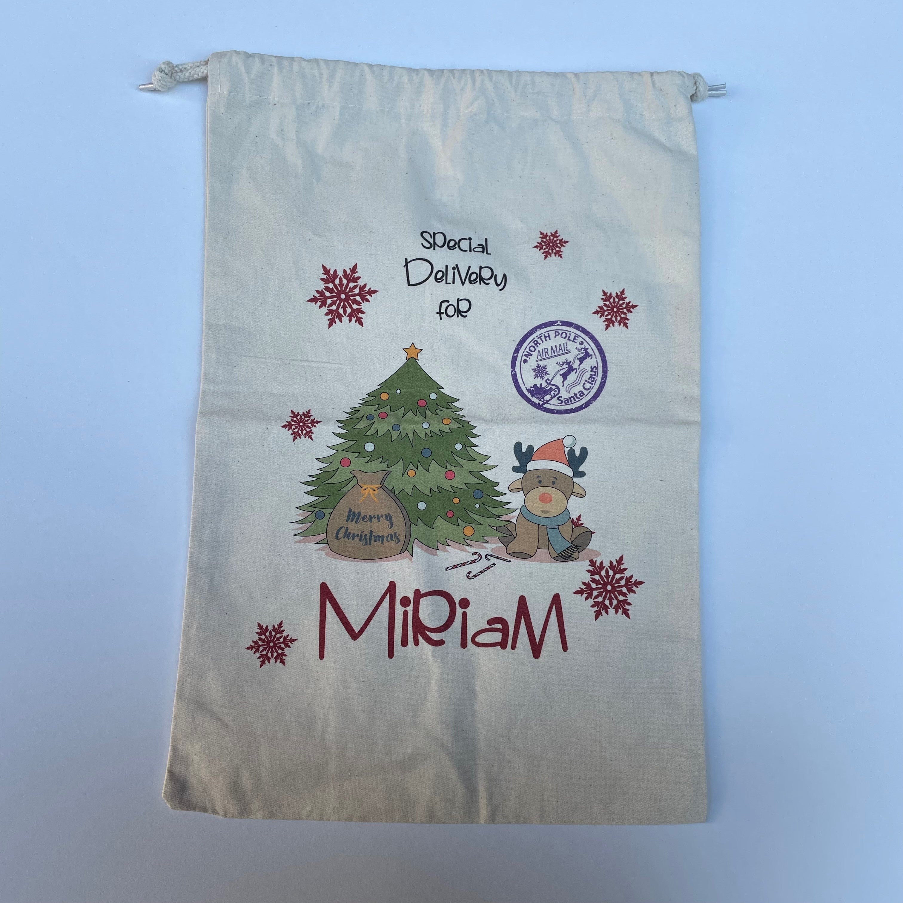 Sacco Porta Doni Special Delivery